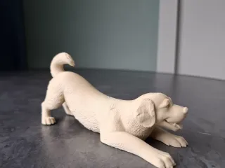 Playful Labrador Retriever Puppy