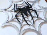 Spider Web Halloween Decoration-0