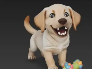 Любопытный щенок лабрадора