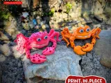 PRINT-IN-PLACE FLEXI CRAB ARTICULATED-7