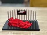 Formula 1 under cloth-5
