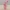 Fauna - Animal Crossing Figure