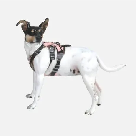Fox Terrier Speelgoed