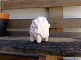 sheep-4