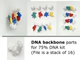 DNA - Deoxyribonucleic acid-3