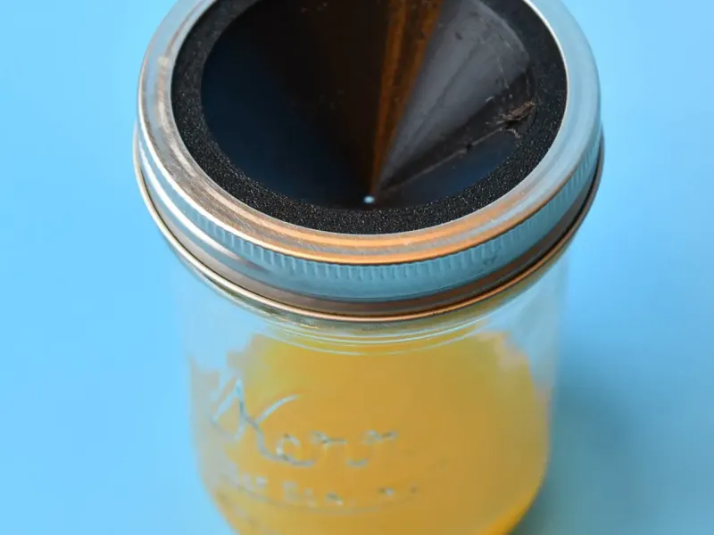 Wide Mouth Fruit Fly Trap
