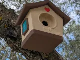 Cute Bird House-3