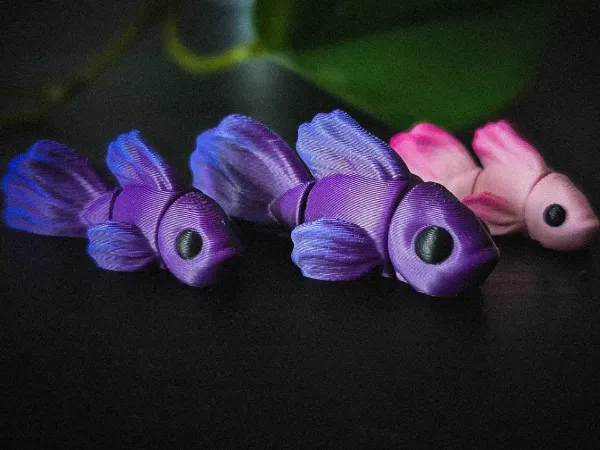 Flexi Betta Fish