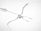 Pterodactyl skeleton-1