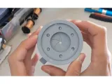 iris-1