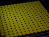 Bingo Marker / Token / coin-3
