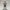 John Cena – Fan Tribute Collectible Figurine