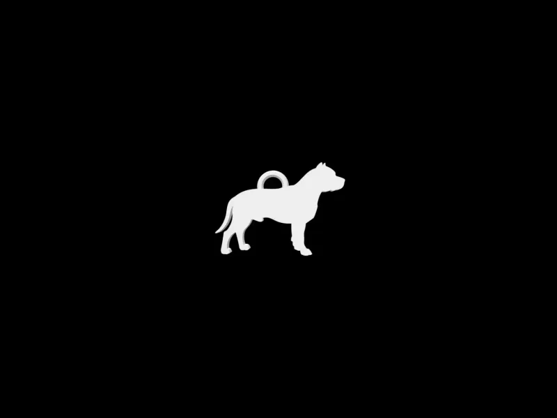 Porte-clés Pitbull