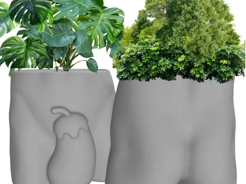 Planter (Self Portrait)