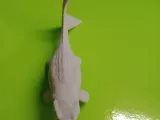 Pliosaurus-1