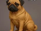 Pug-0
