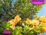 Cute Flexi Print-in-Place Frog-5