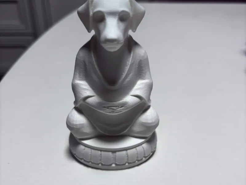Buddhist dog