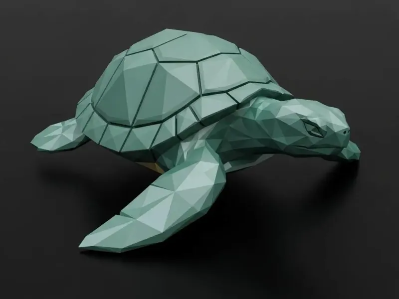 Tortue de mer