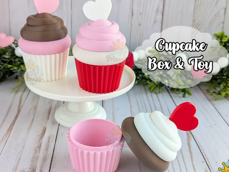 Cupcake Box Container and Toy
