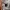 Hanger for Nebula camera - YOOPAI 3D printer tent constructi