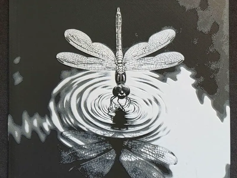 Dragonfly