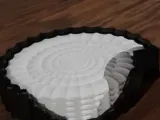 shell coaster-0