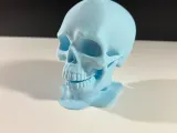 Ice Skull-1