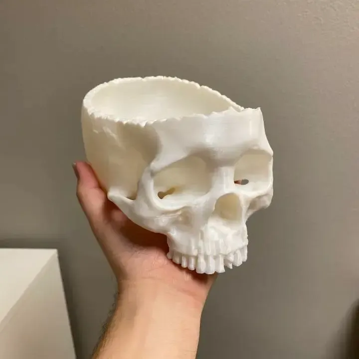 Realistic Skull Candy Bowl | Halloween Skull Decoration