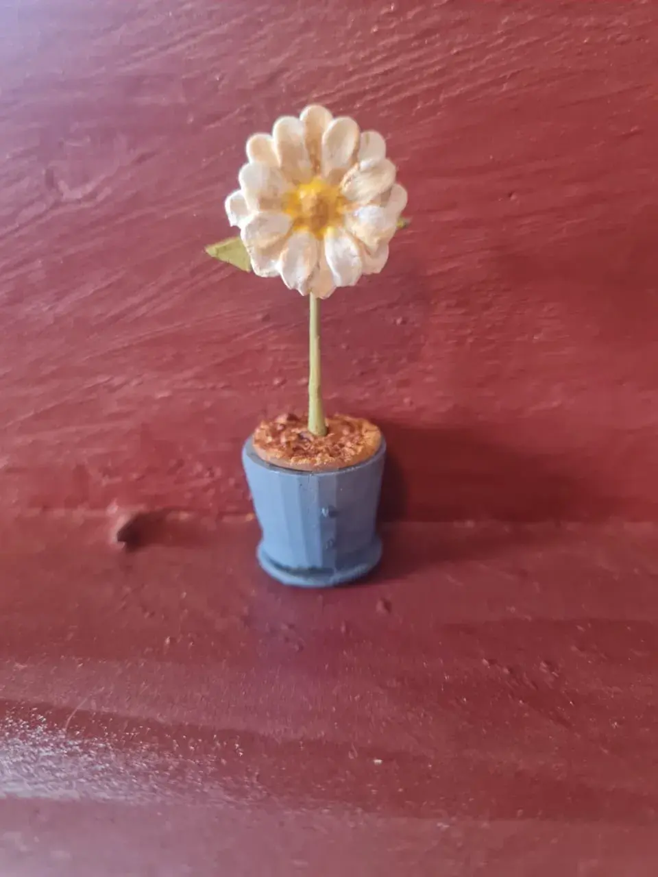 Daisy