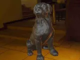 Dog Rottweiler-1