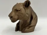 نمر-6