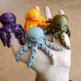 Cute Mini Octopus 