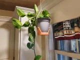drip tray/holder for suspending flower pots up to 95mm pot-4