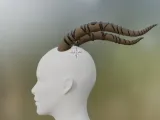 Antelope's horns for cosplay Zootopia-1