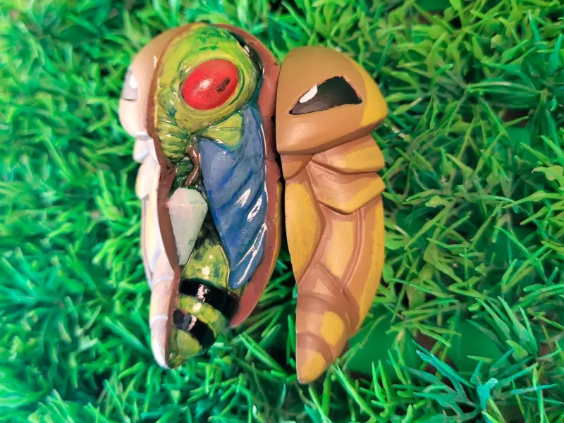 KAKADU ANATOMIE / POKEMON