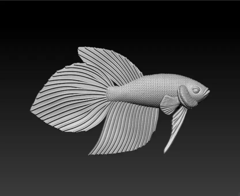 PESCE BETTA CODA DI VELO - PRONTO PER LA STAMPA 3D