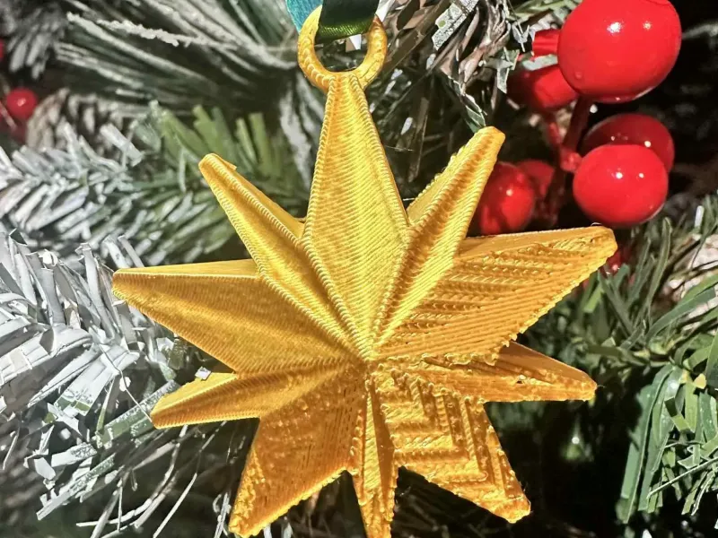 Étoile de Noël complète suspendue à 10 branches