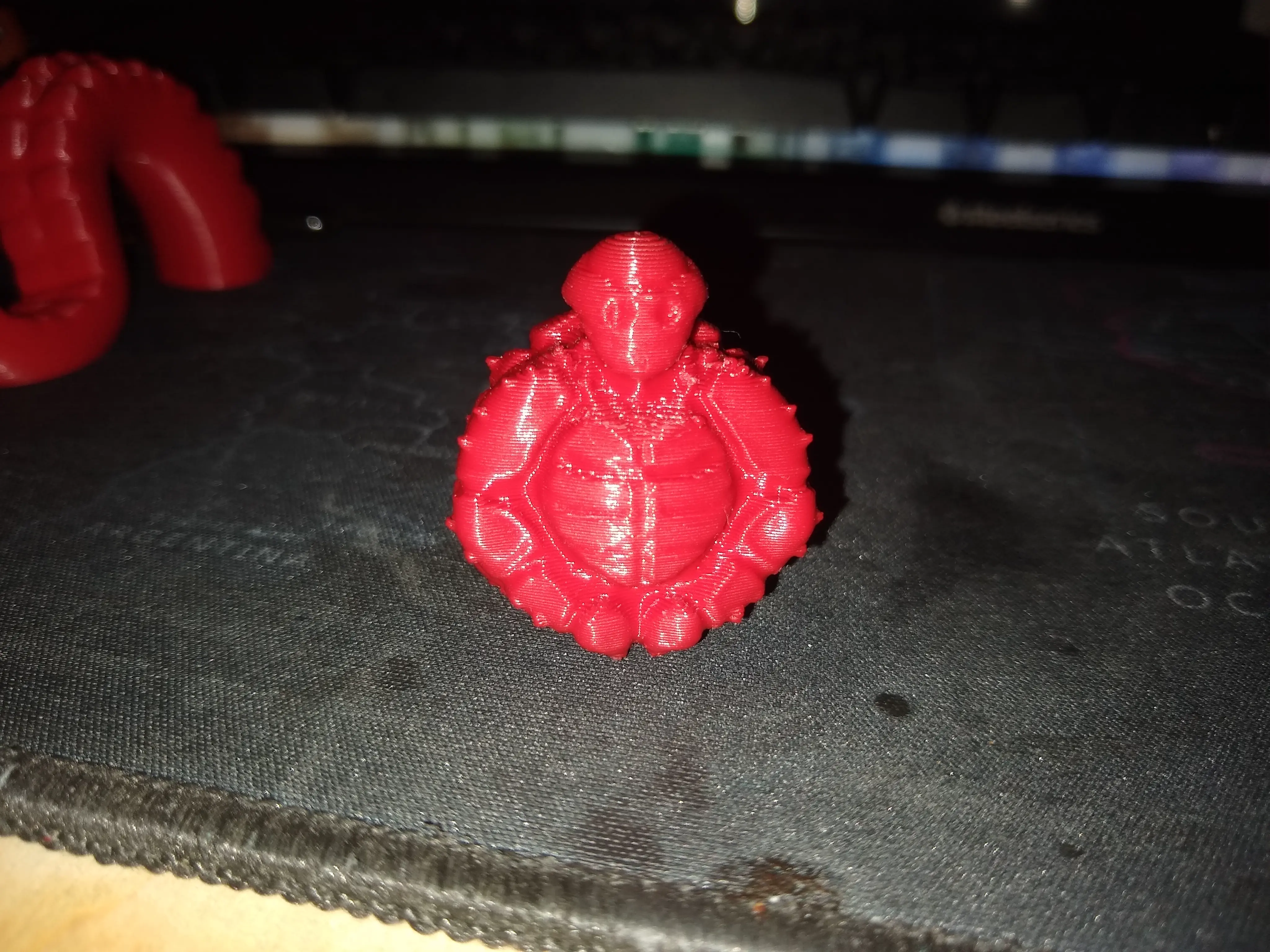 Squish'em turtle