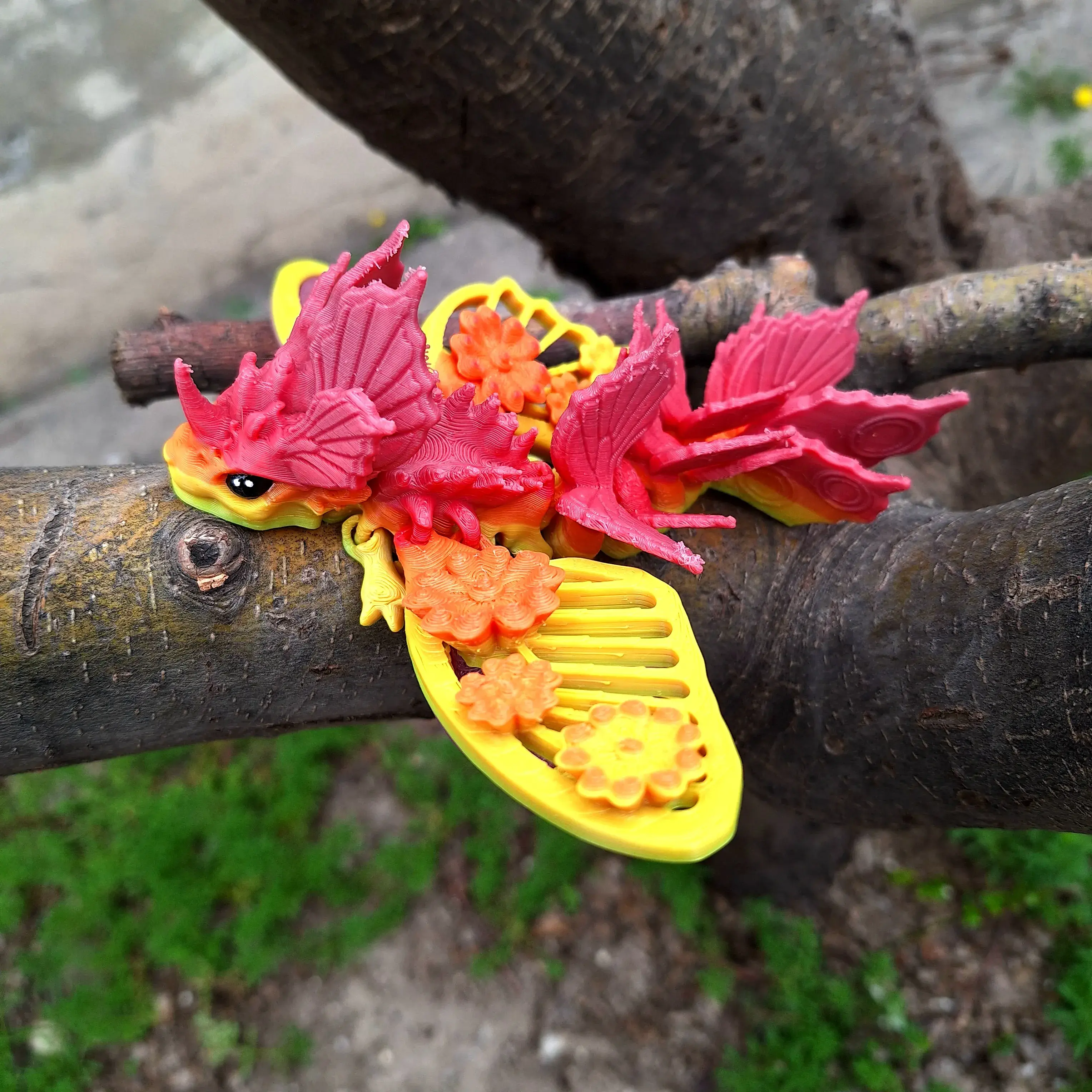 PAPILIO BUTTERFLY DRAGON! 🦋 🐉