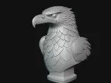 Eagle Bust-8