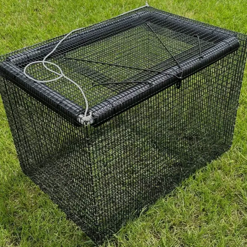 Minnow Cage