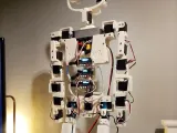 Wireless Humanoid Robot - Full body - Nova V6-0