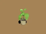 planta-1
