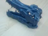 Crocodile Skull-2