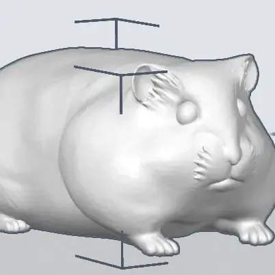 Big Hamster