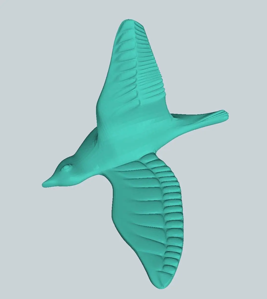 Dove2