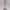 Violet Vixen – Metallic Purple Glam Dancer Figurine