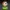 Llavero de la Planta Piraña en Pixel Art