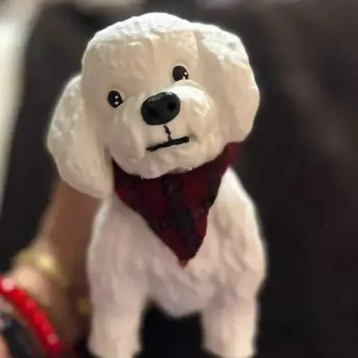 Poodle Toy